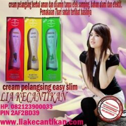 Cream Pelangsing Easy Slimming